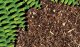 Exo Terra Podłoże do terrariumJungle Earth, 26,4L 5