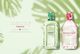 Tommy Hilfiger Tommy Tropics 100 ml 3
