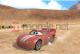 Cars Race-o-Rama 7