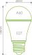 Whitenergy żarówka LED E27, 42xSMD 3014, A60, 4W, 230V, 300Lm, ciepła biała (08491) 3