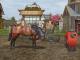 WILDLIFE PARK 2: ŚWIAT KONI WER.2 PC 2