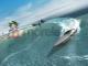 Aquadelic GT PC 5