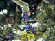 Saga Icewind Dale PC 8