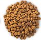 Hills  Hill's Science Plan Adult 1-6 Small & Miniature sausas maistas šunims su ėriena ir ryžiais, 1,5 kg 2