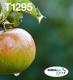 Tusz Epson Tusz T129 4-Pack L CMYK (C13T12954511) 1