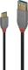 Kabel USB Lindy USB-A - USB-C 0.5 m Czarny (36910) 1