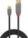 Kabel USB Lindy USB-A - USB-C 0.5 m Czarny (36910) 1