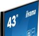 Monitor iiyama ProLite LE4340UHS-B1 3