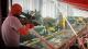 HITMAN 2 Silver Edition PC, wersja cyfrowa 20