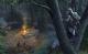 Assassin's Creed 3 Deluxe Edition PC, wersja cyfrowa 6