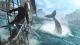 Assassin's Creed IV Black Flag Digital Deluxe Edition 1