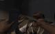 Far Cry 2: Fortune's Edition 4