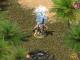 Sacred Gold 4