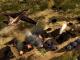 Act of War: High Treason PC, wersja cyfrowa 4