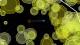 PARTICLE MACE PC, wersja cyfrowa 3