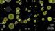 PARTICLE MACE PC, wersja cyfrowa 8