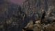 Through the Woods: Collector's Edition PC, wersja cyfrowa 7