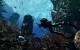 Call of Duty: Ghosts - Digital Hardened Edition 3
