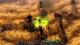 Grim Dawn GOG CD Key 10
