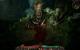 Grim Dawn GOG CD Key 8
