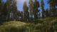 SCUM PC, wersja cyfrowa 20