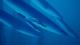 ABZU PC, wersja cyfrowa 6