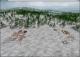 Dominions 3: The Awakening PC, wersja cyfrowa 6