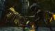 Divinity II: Developer's Cut PC, wersja cyfrowa 2