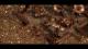 They Are Billions PC, wersja cyfrowa 8