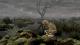 LEGO The Lord of the Rings 1