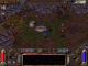 Arcanum: Of Steamworks and Magick Obscura PC, wersja cyfrowa 5