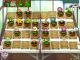 Plants vs. Zombies GOTY PC, wersja cyfrowa 4