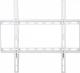 Techly Uchwyt ścienny ICA-PLB-162MW 23'' - 55'' 1