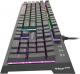 Klawiatura Genesis Thor 200 RGB (NKG-1237) 1
