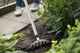 Fiskars Grabie do róż Light 25 cm 1019607 2