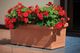 Skrzynia balkonowa taras GALA TERAKOTA 70x34x29 cm uniwersalny 2