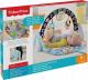 Fisher Price Przenośna mata sensoryczna (FXC14) 1