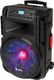 Głośnik ZND Liberator Stage Speaker (Bluetooth + NFC) 1