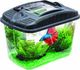 Axentia Akwarium Betta Kit - dla bojownika 3L 1