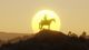 Red Dead Redemption 2 Xbox One 15