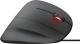 Mysz Trust GXT 144 Rexx  (22991) 6