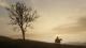 Red Dead Redemption 2 Xbox One 8
