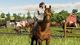 Farming Simulator 2019-3512899120327 Xbox One 3