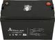 ExtraLink Akumulator 12V/100Ah (EX.9786) 2