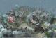 The Settlers I-VI Complete PC 14