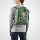 Fjallraven Plecak miejski Kanken Art Green Fable 976 3
