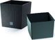 Prosperplast Vazonas Rato Low 1