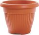 Prosperplast Vazonas TERRA TERRAKOTA 20x15.5 cm, 3L 1