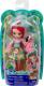 Enchantimals ENCHANTIMALS Fanci Flamingo & Swas (FNH22/GFN42) 1