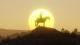 Red Dead Redemption 2 PC, wersja cyfrowa 14